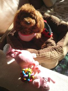 20130103_01.jpg