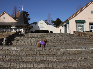 20130104_04.jpg