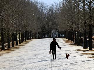 20130105_01.jpg