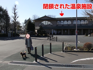20130111_01.jpg