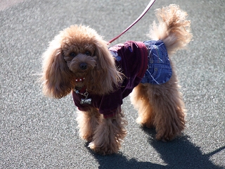 20130111_02.jpg