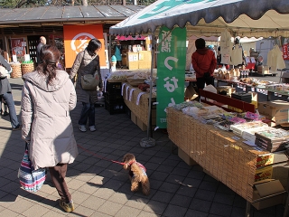 20130111_04.jpg