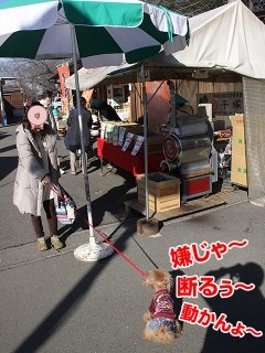 20130111_05.jpg