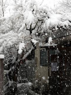 20130114_01.jpg