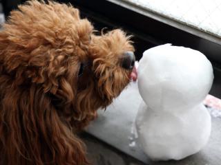 20130114_02.jpg