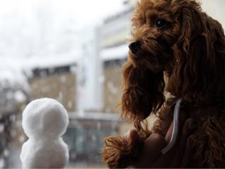 20130114_04.jpg