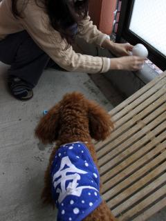 20130114_05.jpg