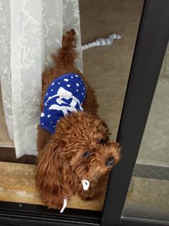 20130114_06.jpg