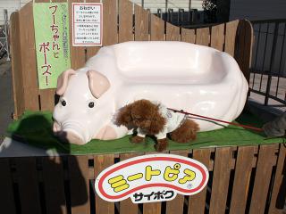 20130216_27.jpg