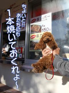 20130216_30.jpg