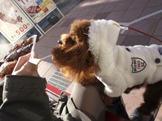 20130216_32.jpg