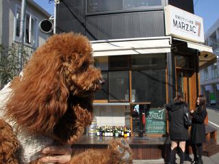 20130223_21.jpg