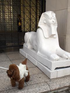 20130223_36.jpg
