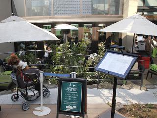 20130223_39.jpg
