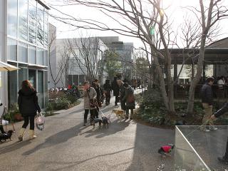 20130223_41.jpg