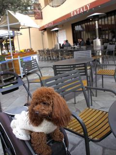 20130223_49.jpg