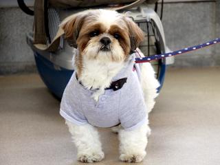 20130224_03.jpg