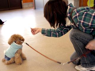 20130224_06.jpg