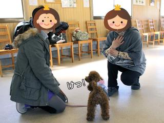 20130224_09.jpg