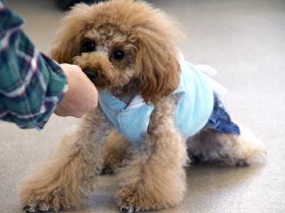 20130224_10.jpg