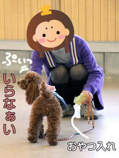 20130224_14.jpg