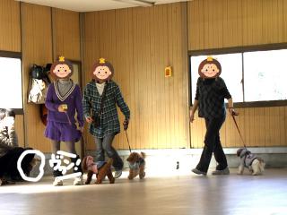 20130224_18.jpg