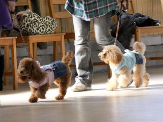 20130224_19.jpg