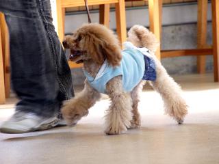 20130224_23.jpg