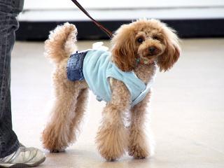 20130224_25.jpg