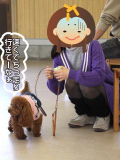 20130224_28.jpg