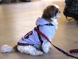 20130224_31.jpg