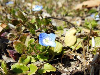 20130228_02.jpg
