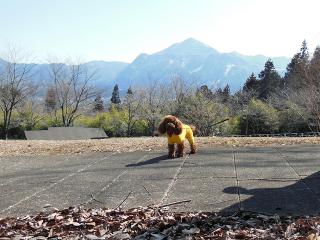 20130228_04.jpg