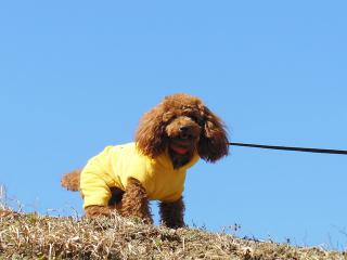 20130228_05.jpg