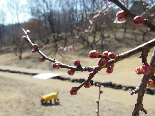 20130228_07.jpg