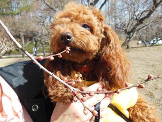 20130228_08.jpg