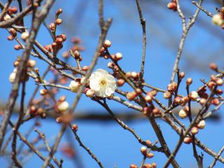 20130228_09.jpg