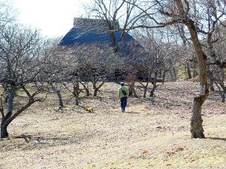 20130228_10.jpg