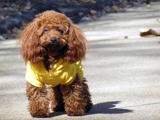20130228_13.jpg