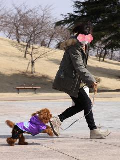 20130302_02.jpg