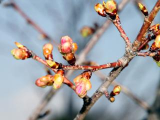 20130302_03.jpg