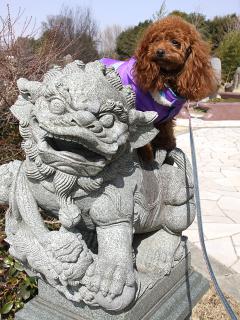 20130302_06.jpg