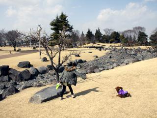 20130302_07.jpg