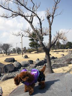 20130302_08.jpg