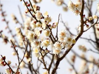 20130302_09.jpg