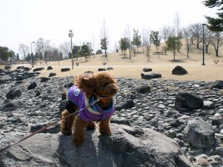 20130302_11.jpg