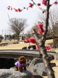 20130302_12.jpg
