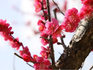 20130302_13.jpg