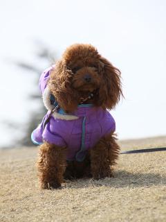20130302_16.jpg