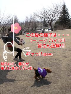 20130302_17.jpg